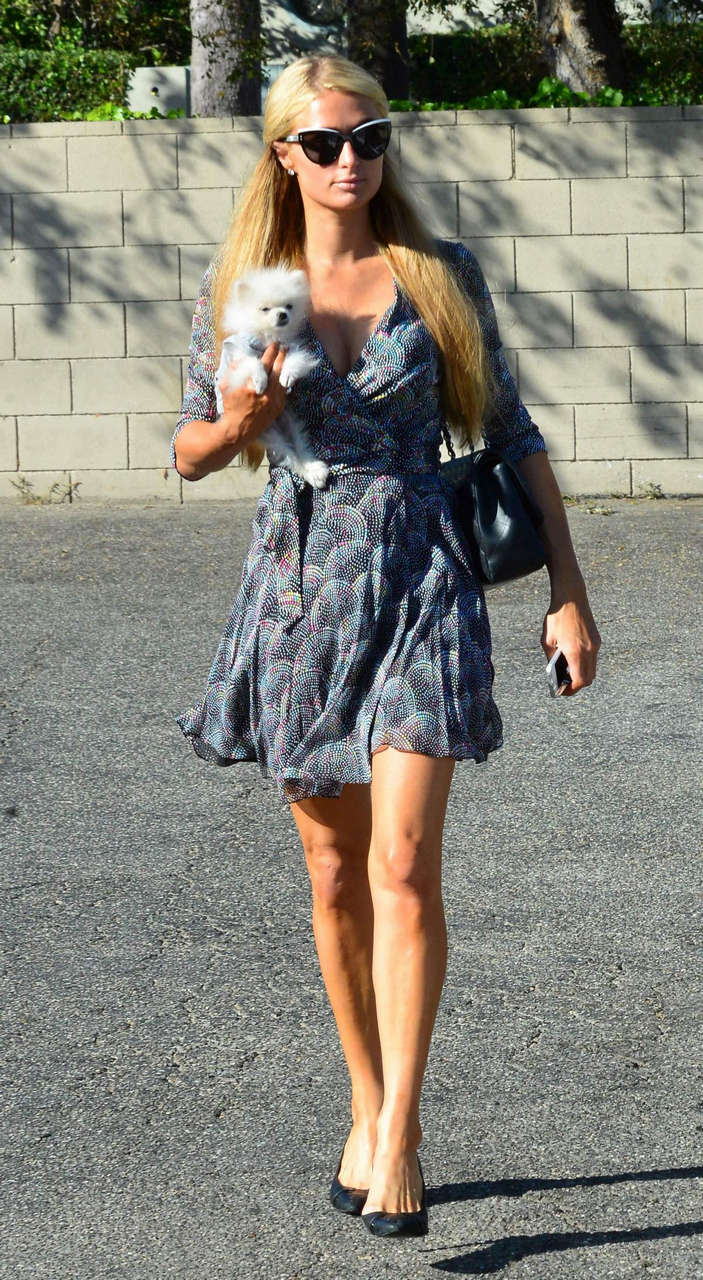 Paris Hilton With Her Dog Prince Hilton Out For Lunch