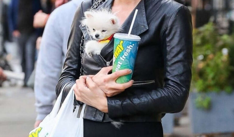 Paris Hilton With Her Dog Waiting For Cab New York (22 photos)
