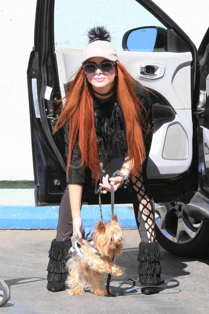 Phoebe Price Oust Shoppin Petco Los Angeles