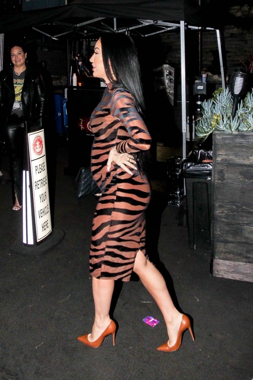 Pregnant Bre Tiesi Night Out West Hollywood