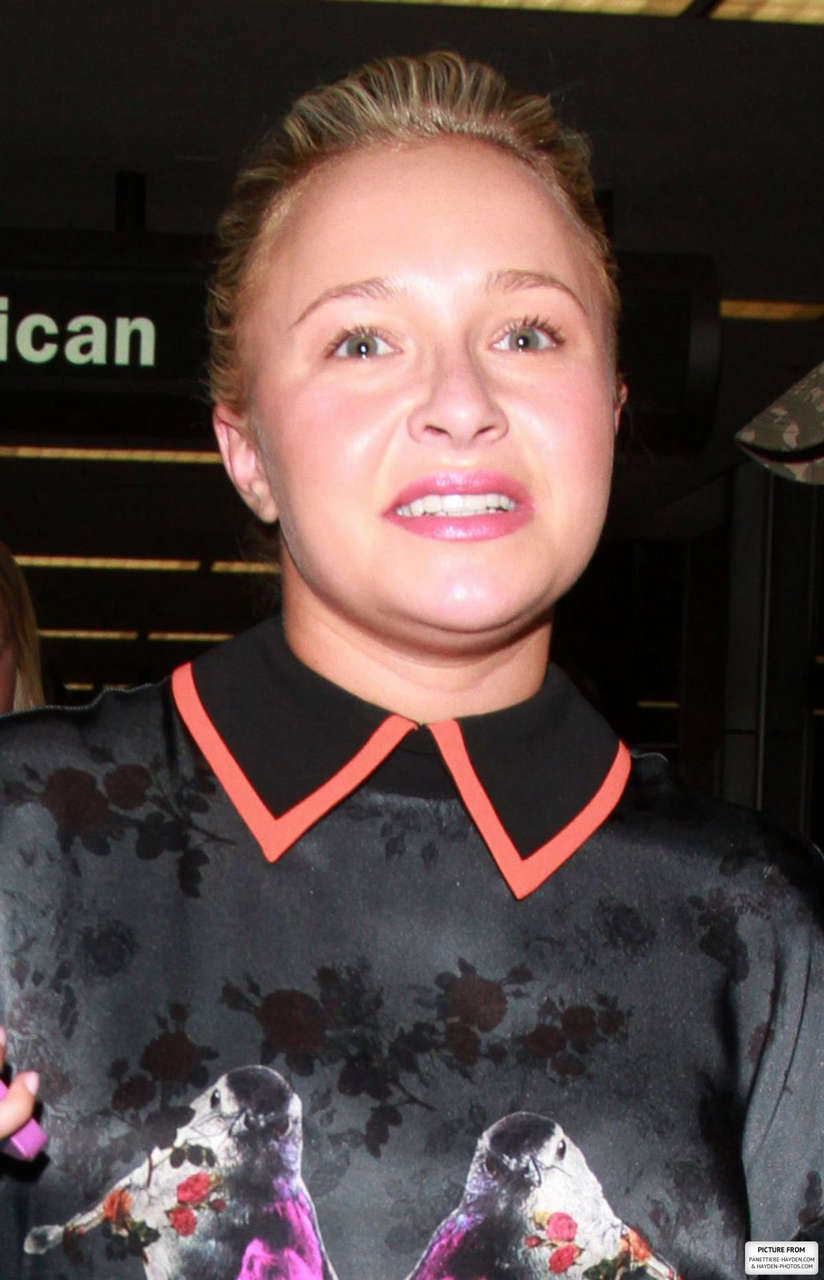 Pregnant Hayden Panettiere Lax Airport