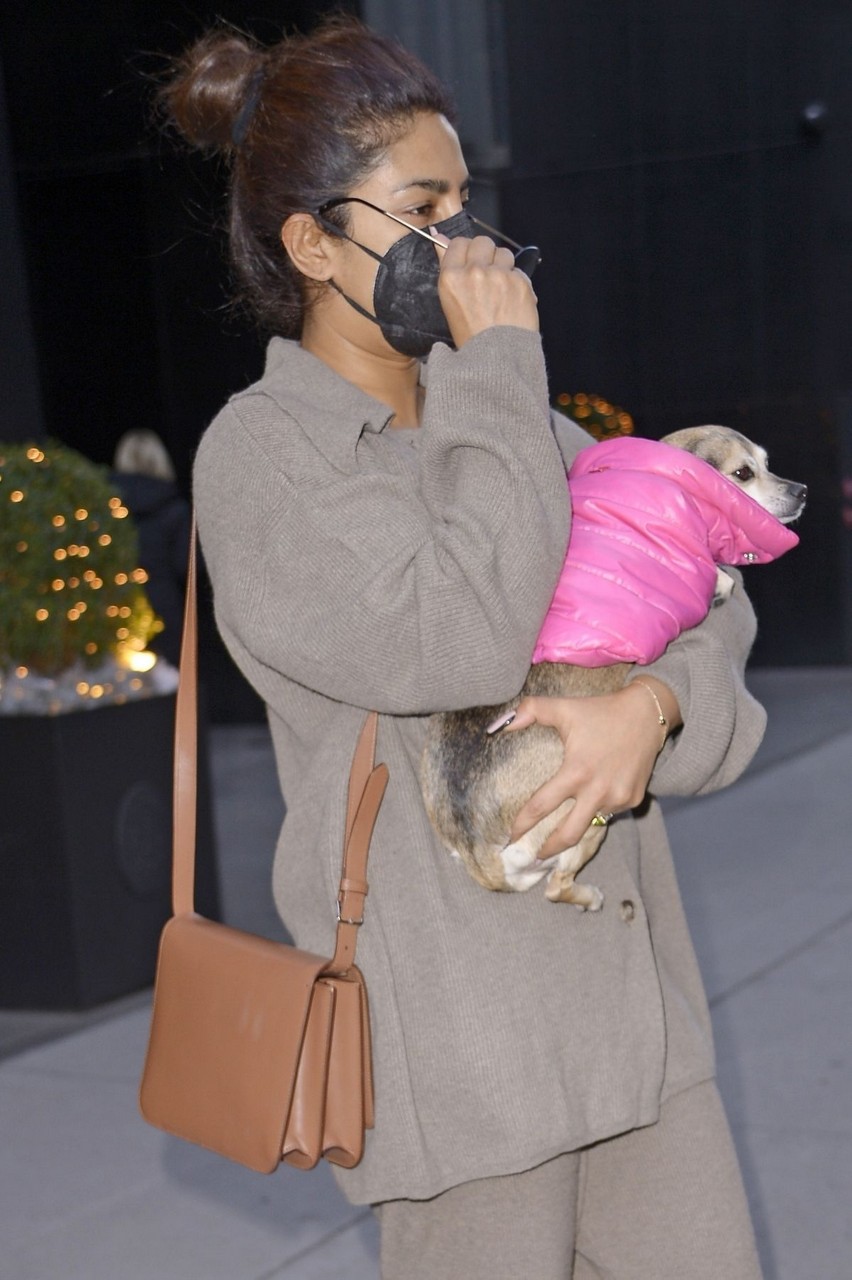 Priyanka Chopra Out With Her Dog New York