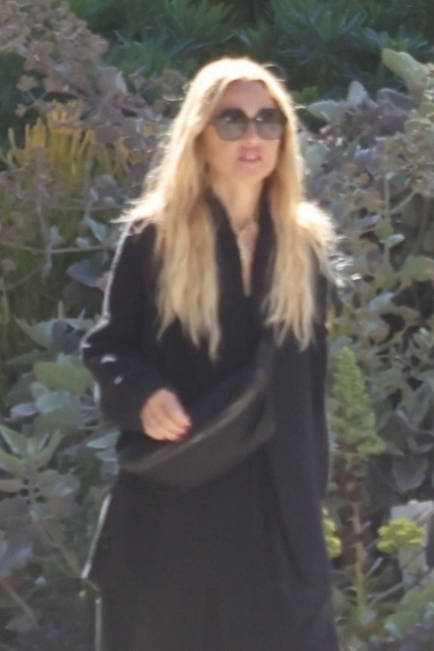 Rachel Zoe Out With Her Dog Los Angeles