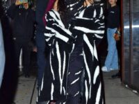Rihanna Arrives Her Brother Rory S Halloween Party New York