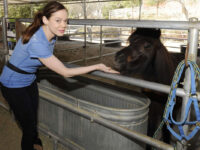 Rose Mcgowan Gentle Barn Los Angeles