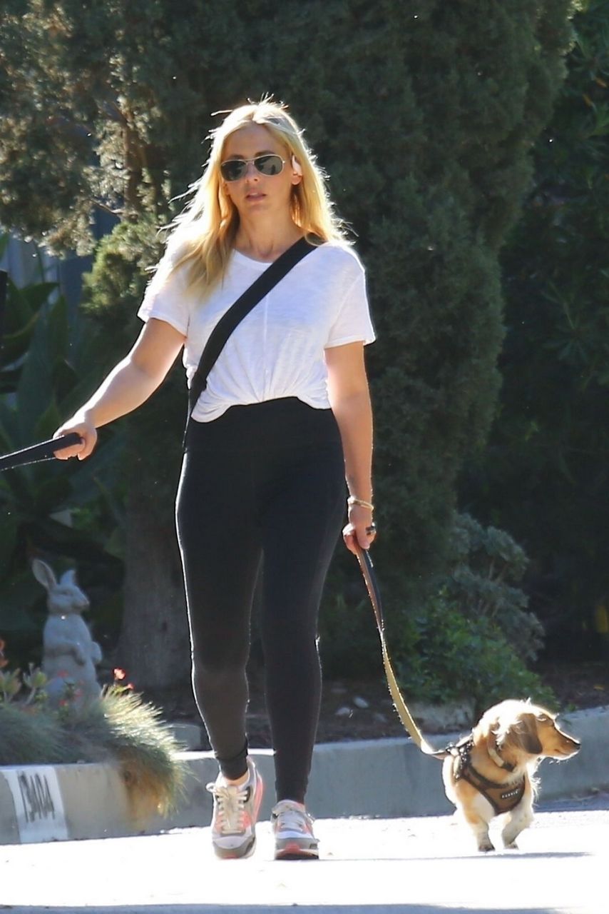 Sarah Michelle Gellar Out With Her Dogs Brentwood