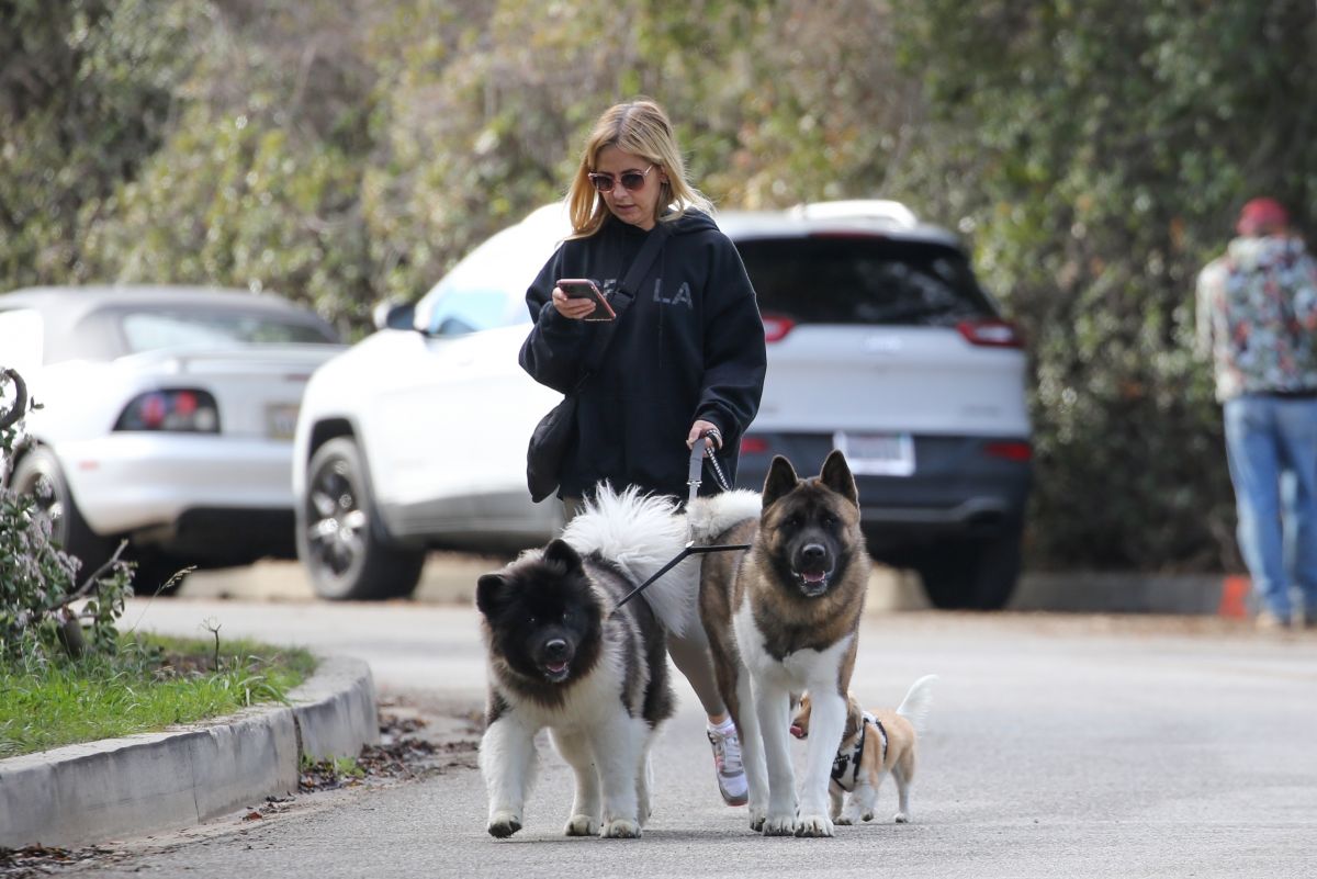 Sarah Michelle Gellar Out With Her Dogs Brentwood