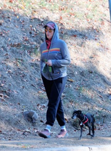 Sarah Silverman Out Hiking With Her Dog Los Angeles