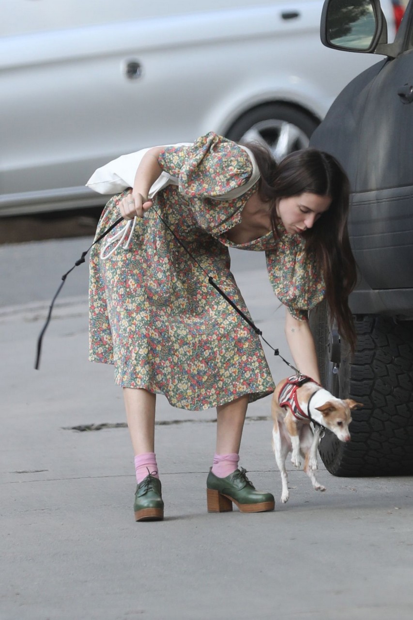 Scout Willis Out With Her Dog Los Angeles