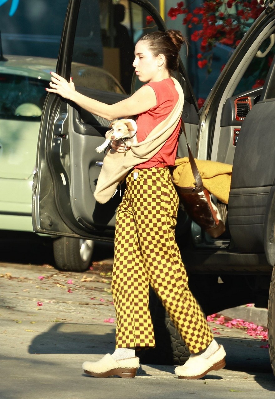 Scout Willis Out With Her Dog Los Angeles