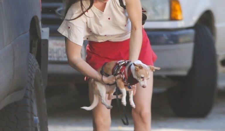 Scout Willis Out With Her Dog West Hollywood (10 photos)