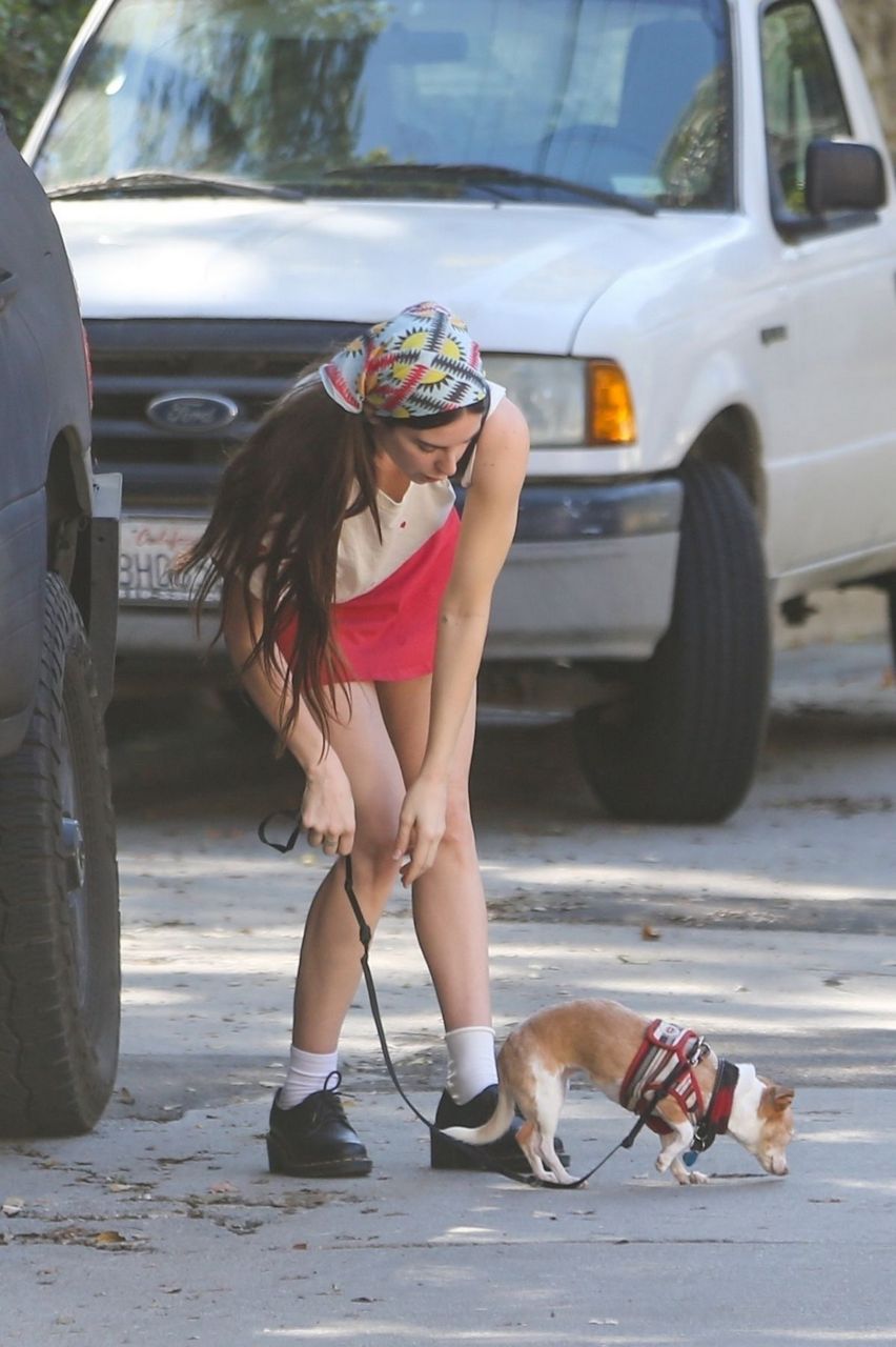 Scout Willis Out With Her Dog West Hollywood