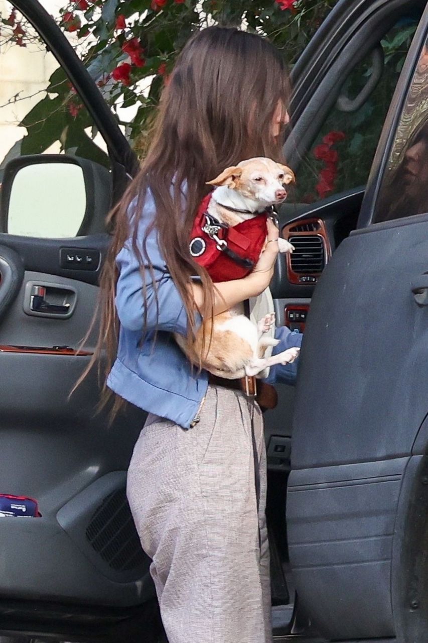 Scout Willis Out Wuth Her Dog Los Feliz