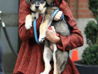 Selena Gomez Walking With Her Puppy