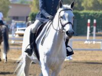 Selma Blair An Equestrian Show Los Angeles