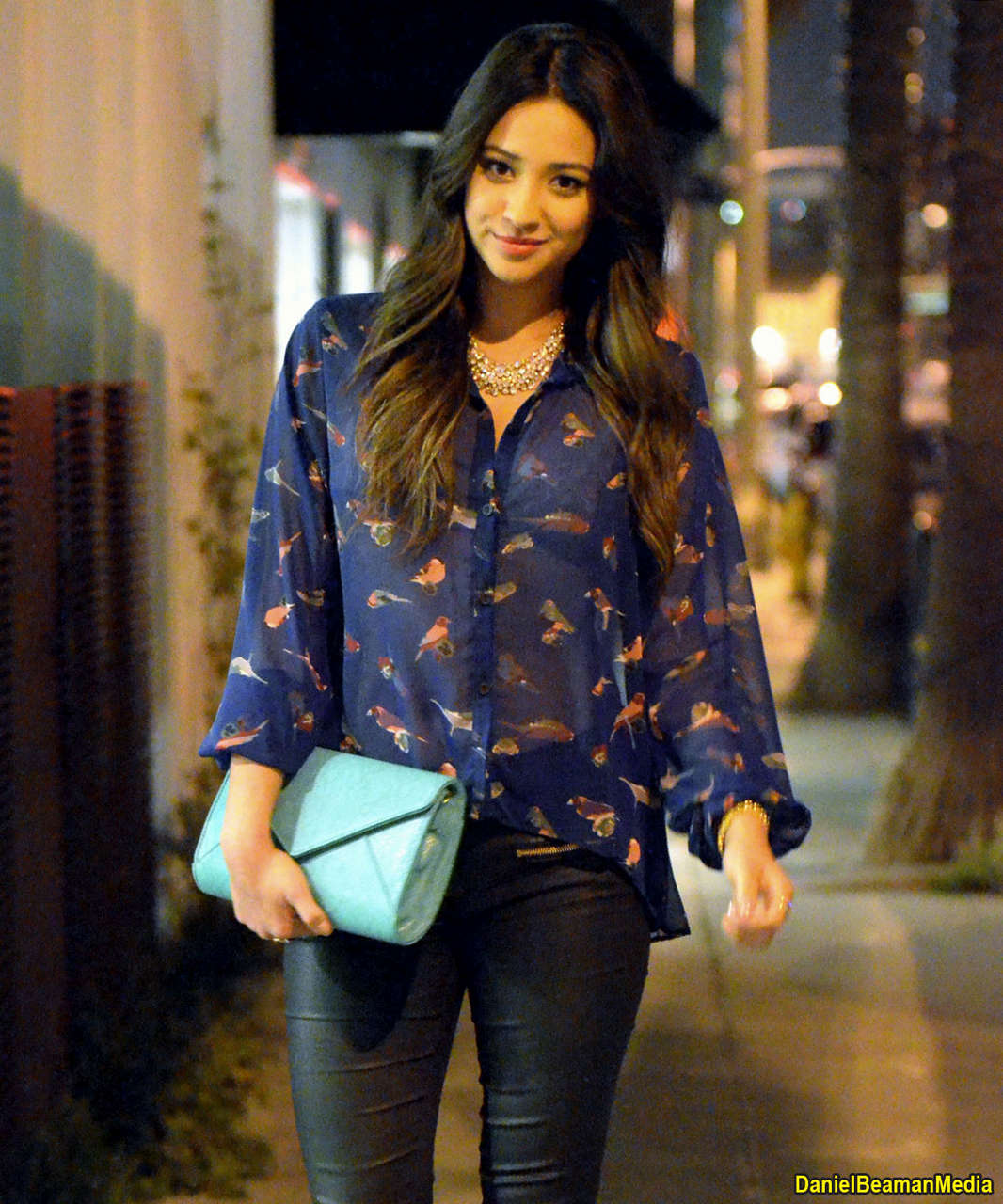 Shay Mitchell Out About Venice