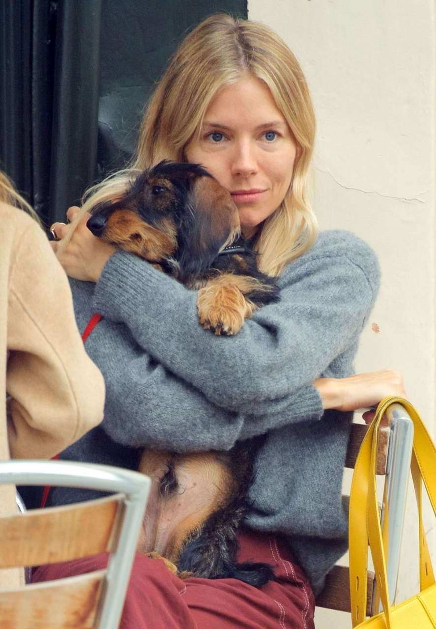 Sienna Miller Out With Her Dog London