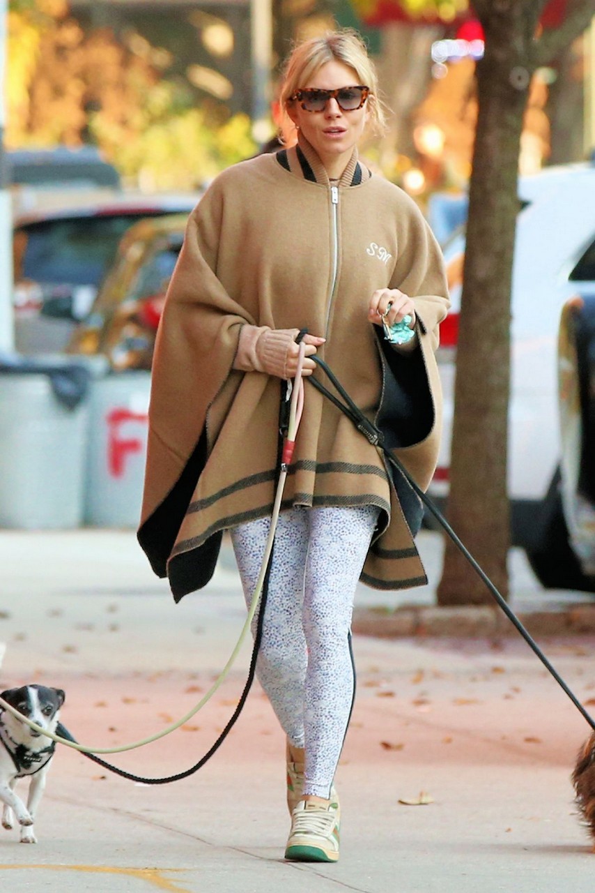 Sienna Miller Out With Her Dogs New York