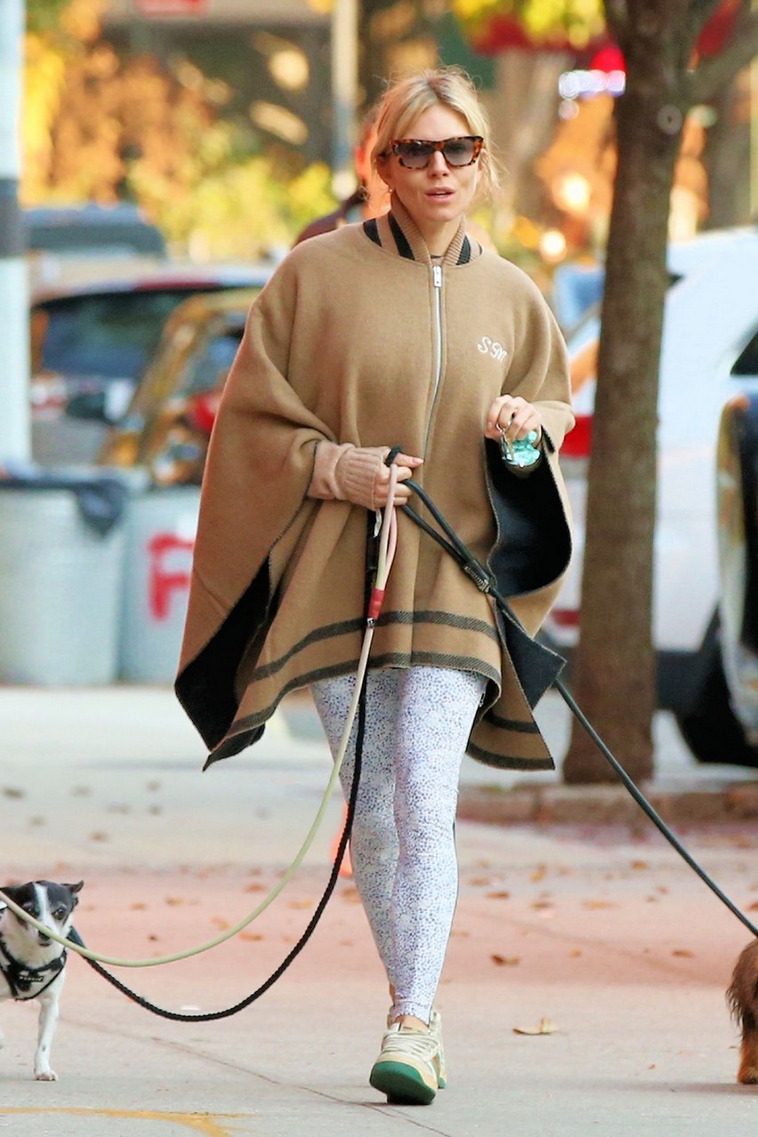 Sienna Miller Out With Her Dogs New York