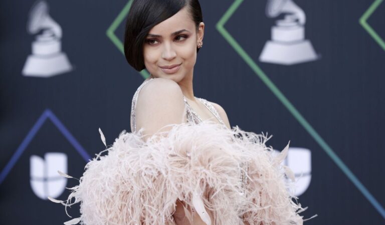 Sofia Carson 22nd Annual Latin Grammy Awards Las Vegas (7 photos)