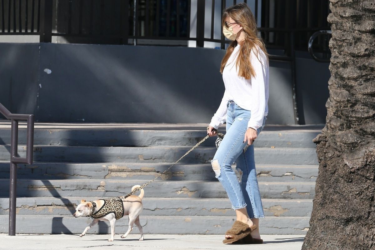 Sofia Vergara Out With Her Dog Miami