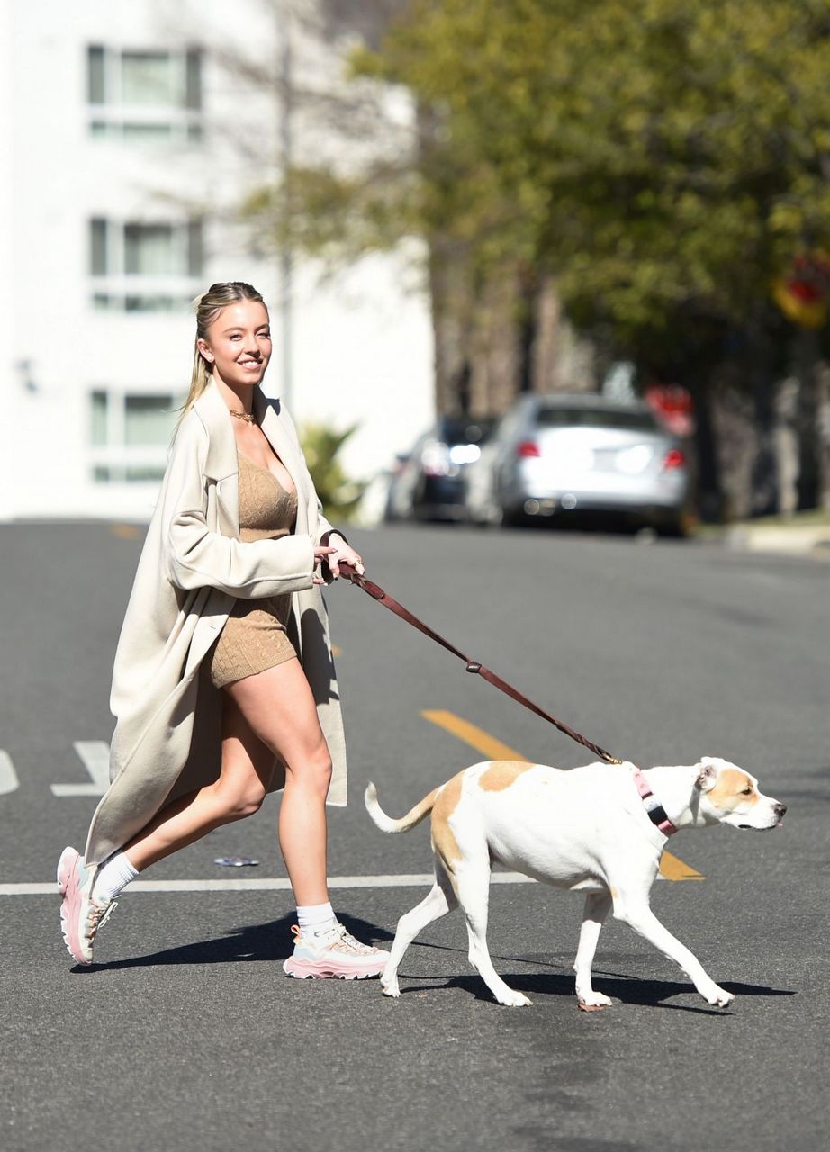 Sydney Sweeney Out With Her Dog Los Angeles