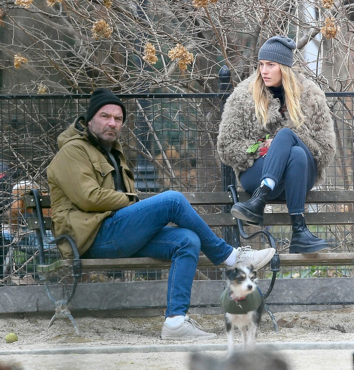 Taylor Neisen And Liev Schreiber Dog Park New York