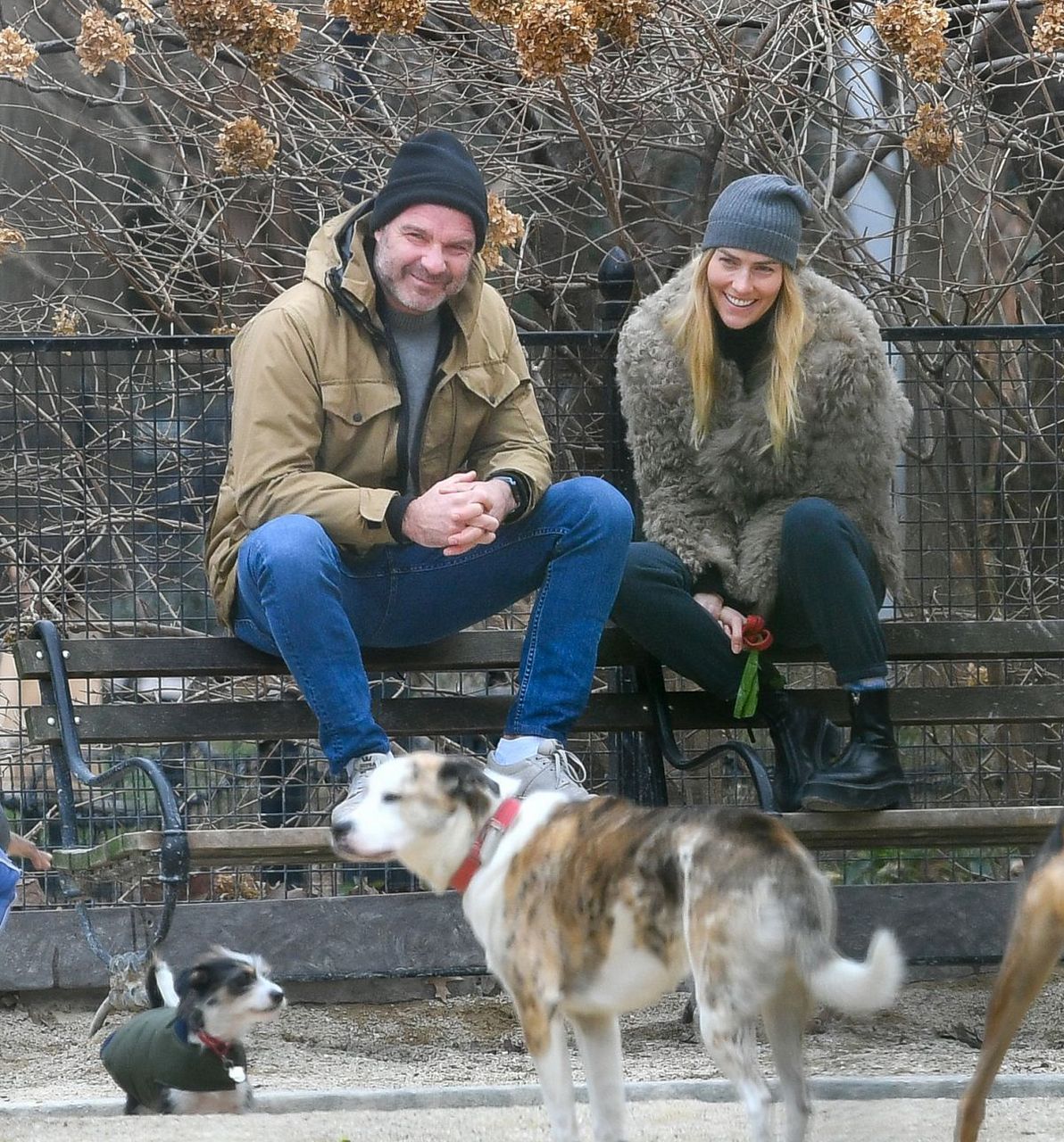 Taylor Neisen And Liev Schreiber Dog Park New York
