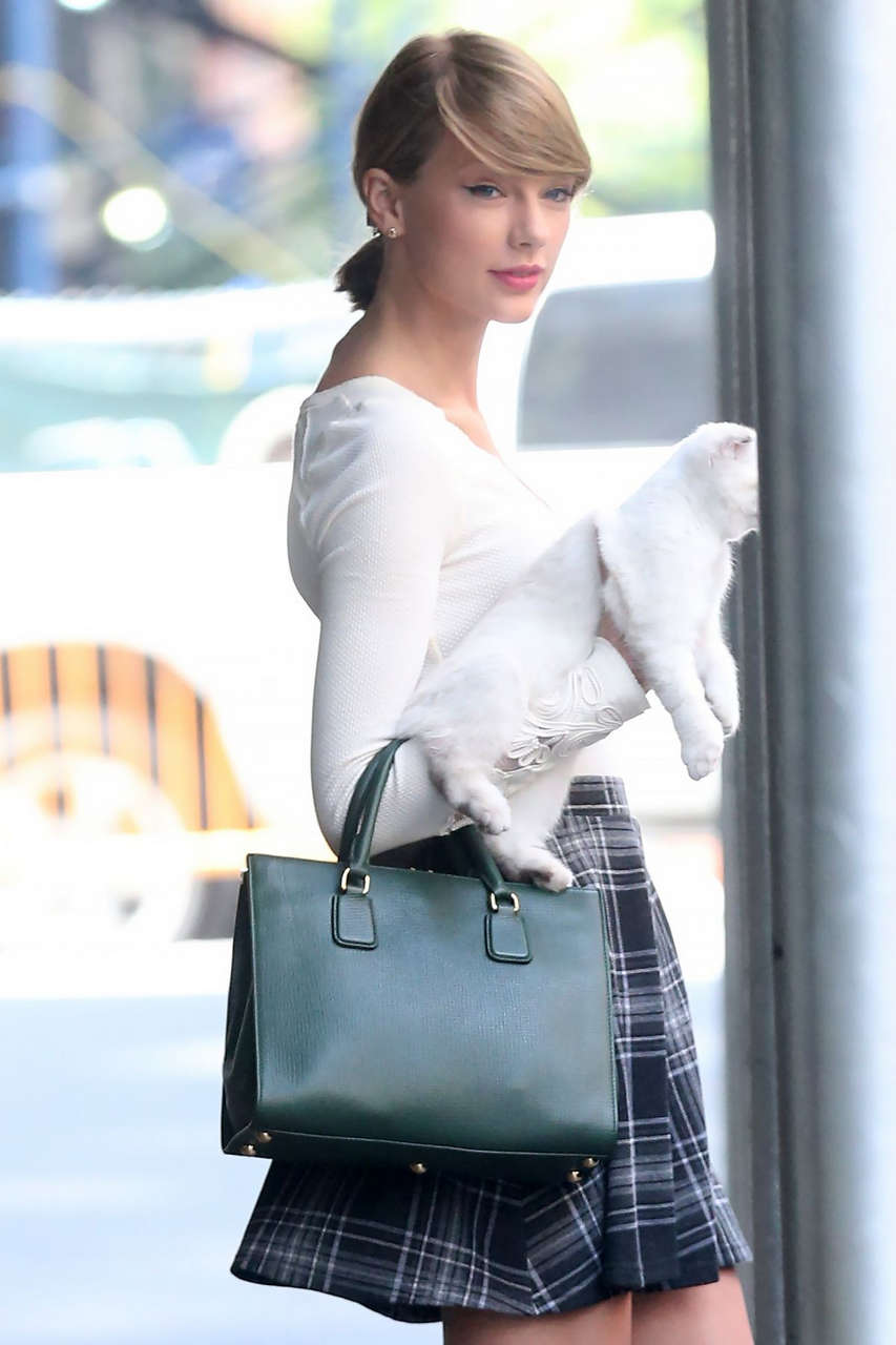 Taylor Swift Stockings Out About New York