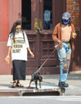 Tessa Thompson Out With Her Dog New York