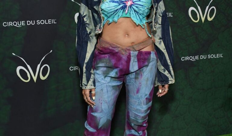 Tinashe Cirque Du Soleil S Ovo Premiere Los Angeles (7 photos)