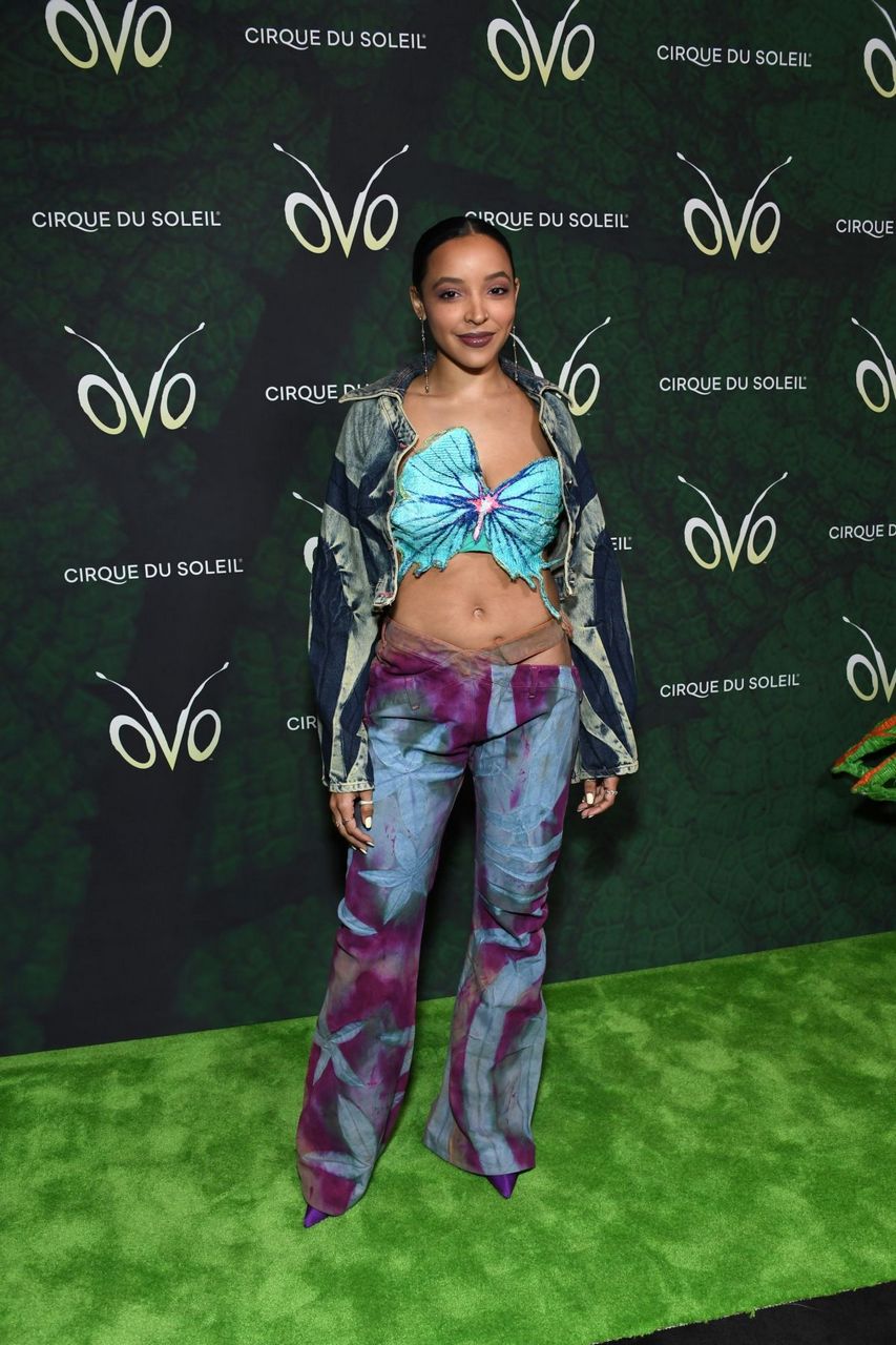 Tinashe Cirque Du Soleil S Ovo Premiere Los Angeles