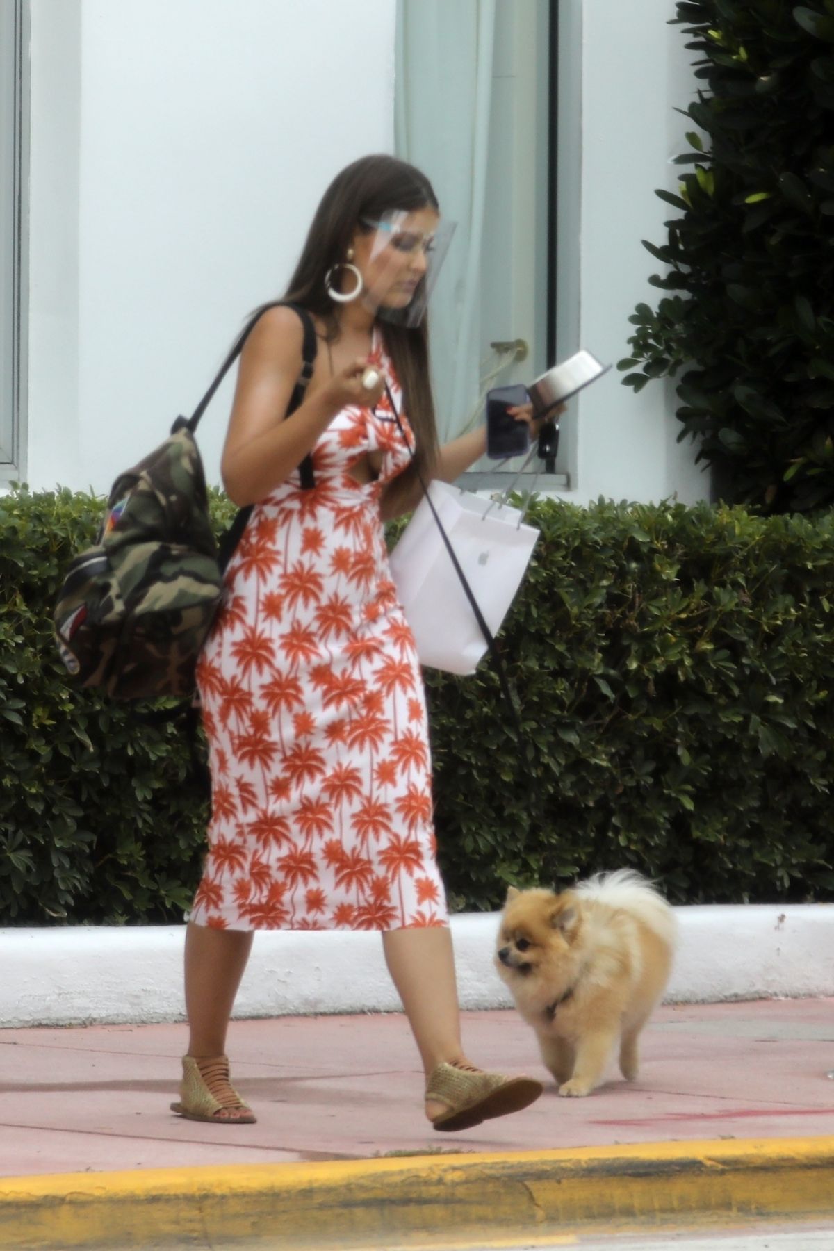 Vanessa Claudio Out With Her Dog Miami Beach