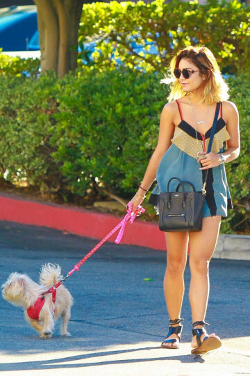 Vanessa Hudgens Walking Her Dog Out Studio City