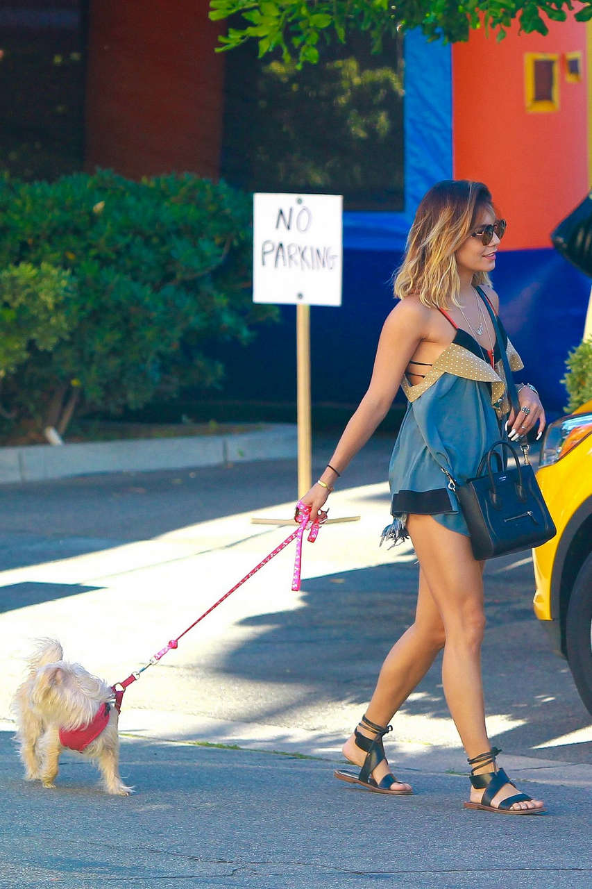 Vanessa Hudgens Walking Her Dog Out Studio City