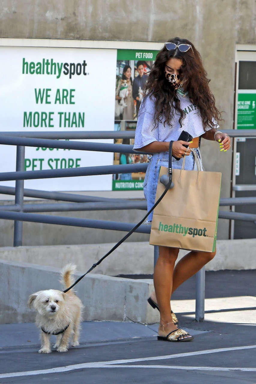 Vanessa Hudgenss Out With Her Dog Los Feliz