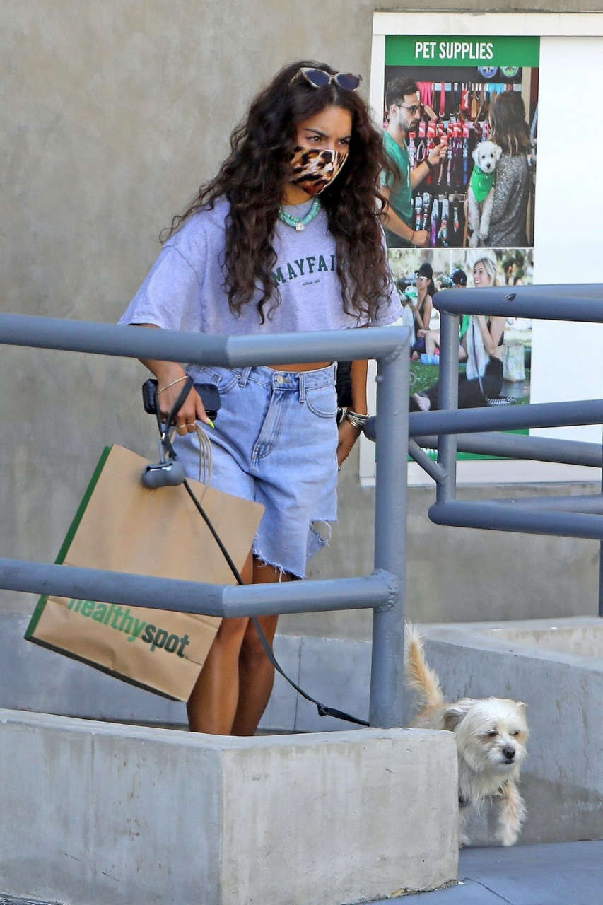 Vanessa Hudgenss Out With Her Dog Los Feliz