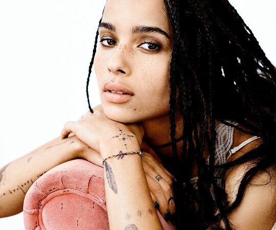 Zoe Kravitz By Alexander Wang (2 photos)