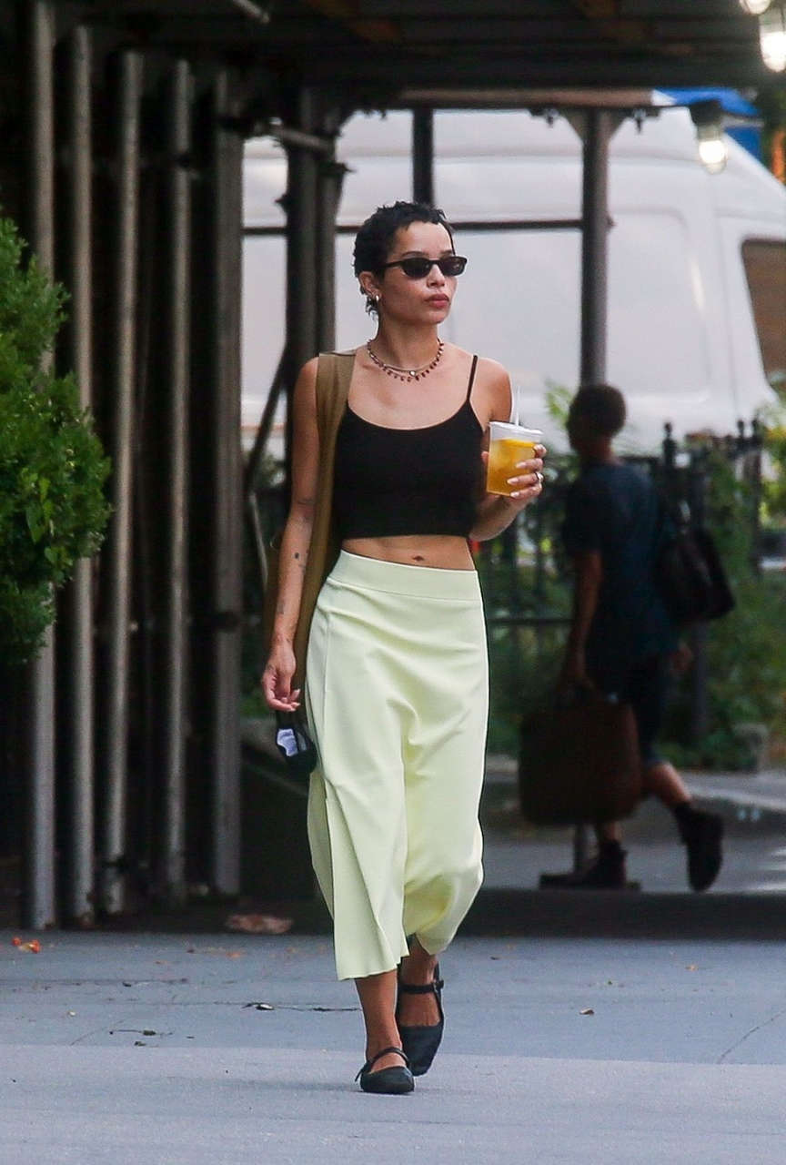 Zoe Kravitz Karl Glusman Out With Their Dog New York