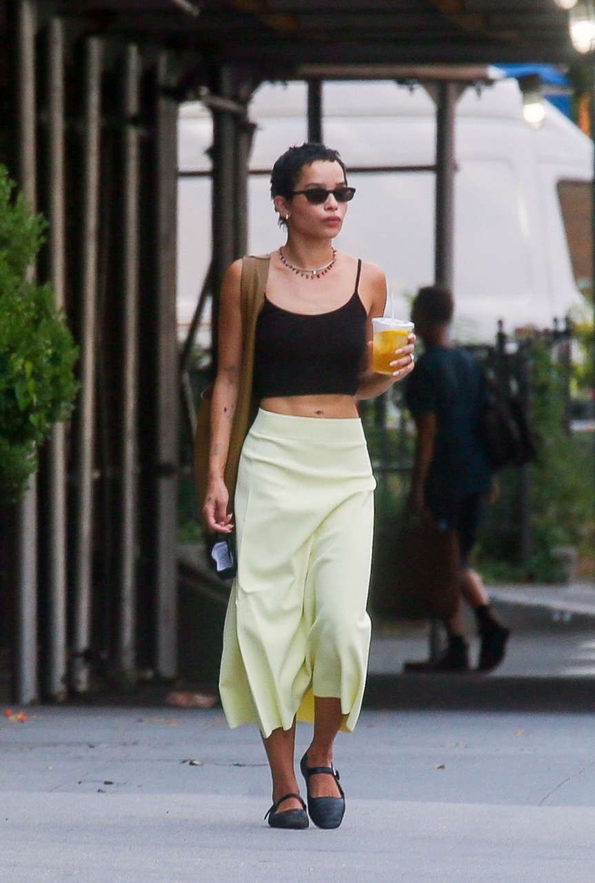 Zoe Kravitz Karl Glusman Out With Their Dog New York