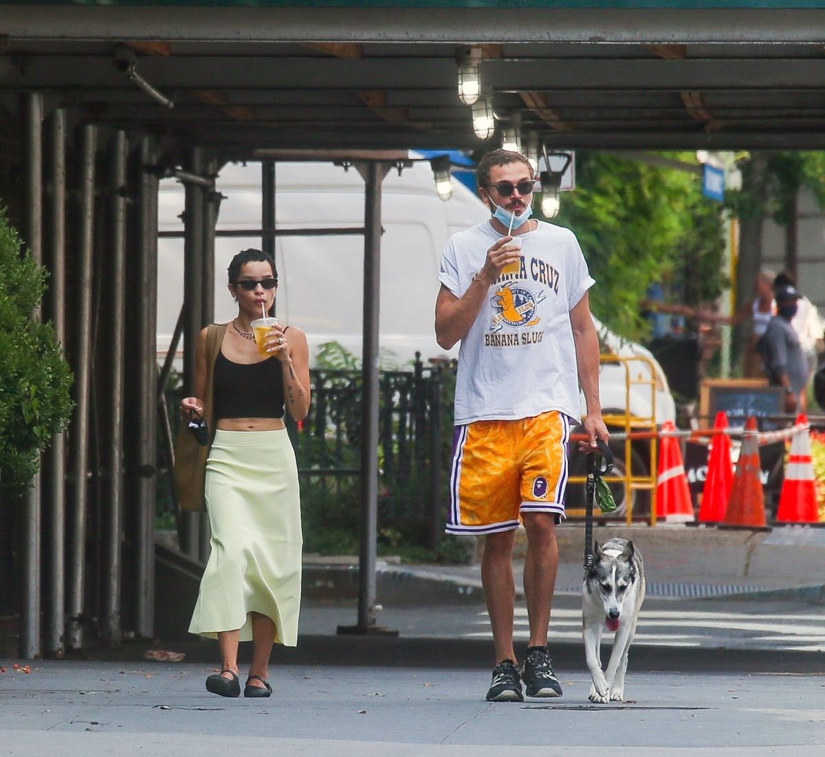 Zoe Kravitz Karl Glusman Out With Their Dog New York