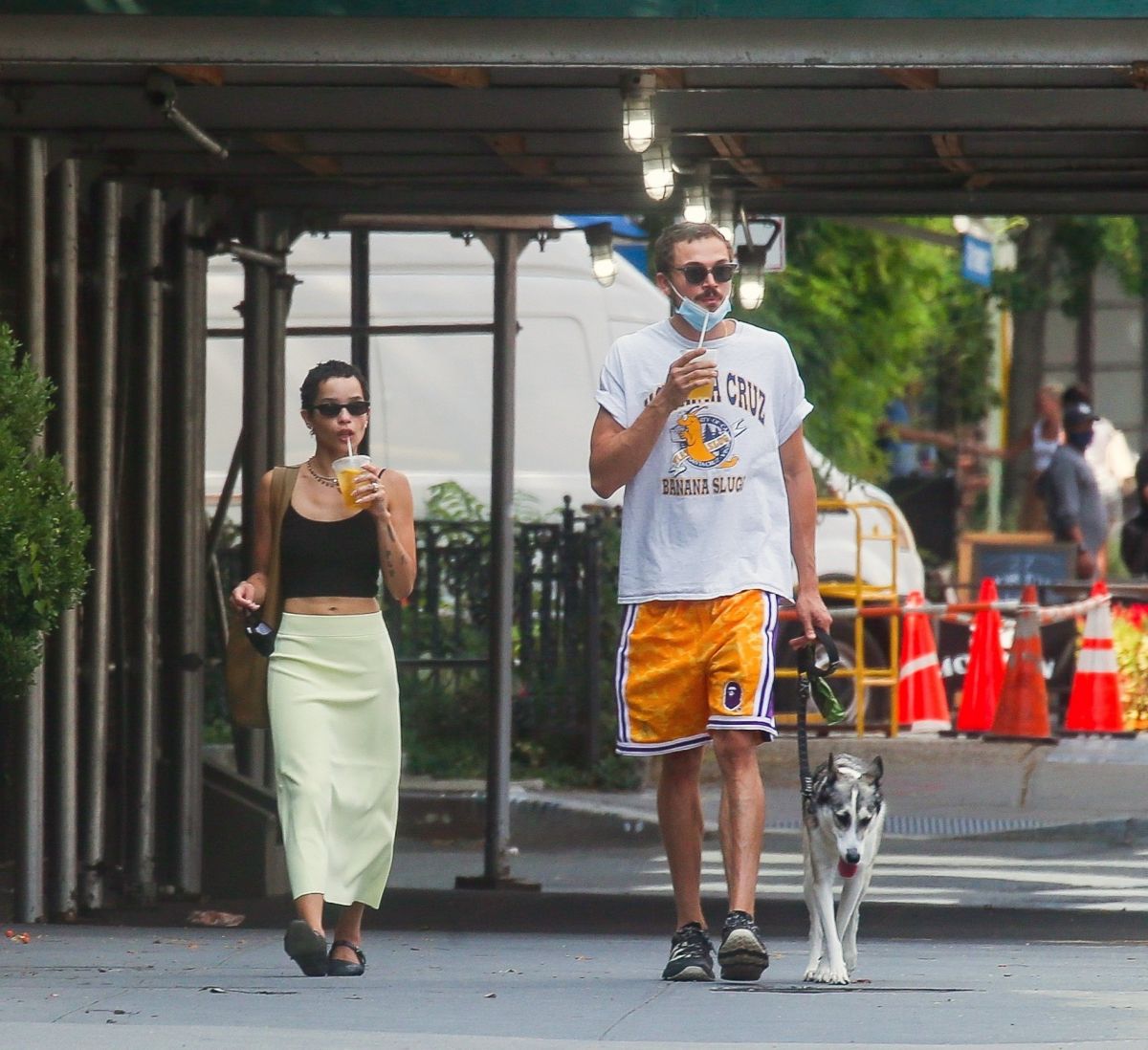 Zoe Kravitz Karl Glusman Out With Their Dog New York