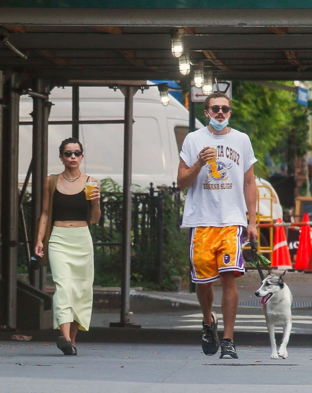 Zoe Kravitz Karl Glusman Out With Their Dog New York