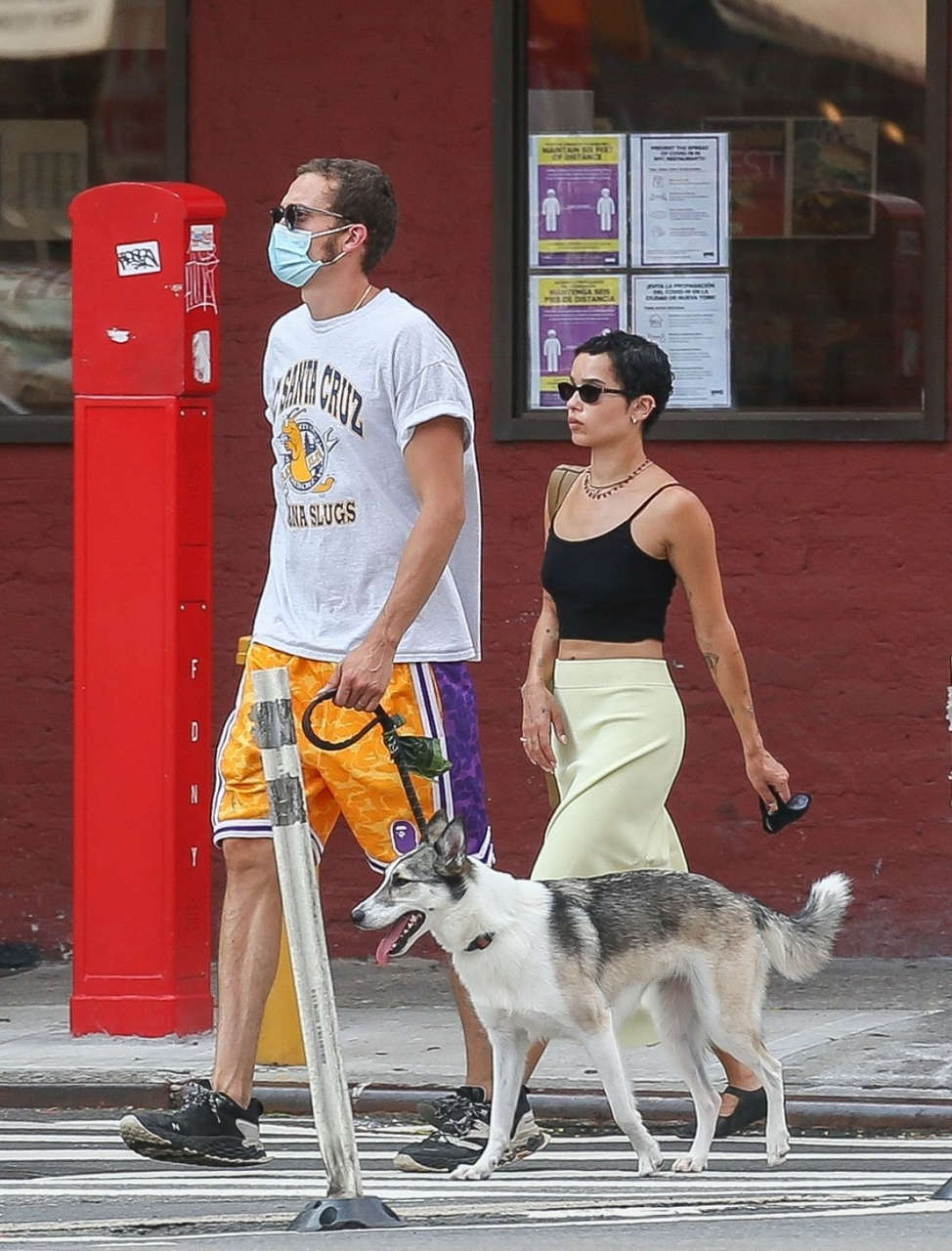 Zoe Kravitz Karl Glusman Out With Their Dog New York