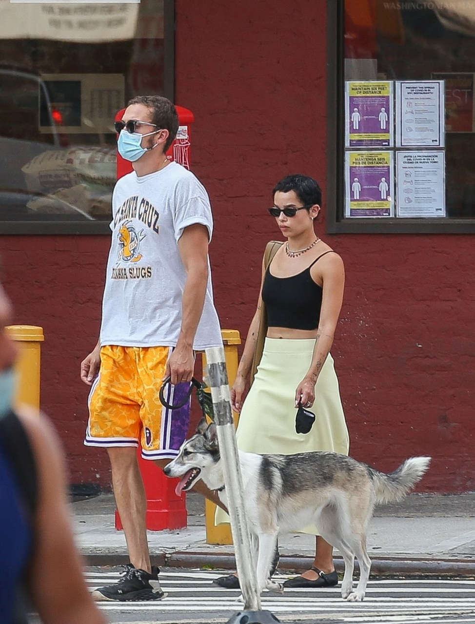 Zoe Kravitz Karl Glusman Out With Their Dog New York