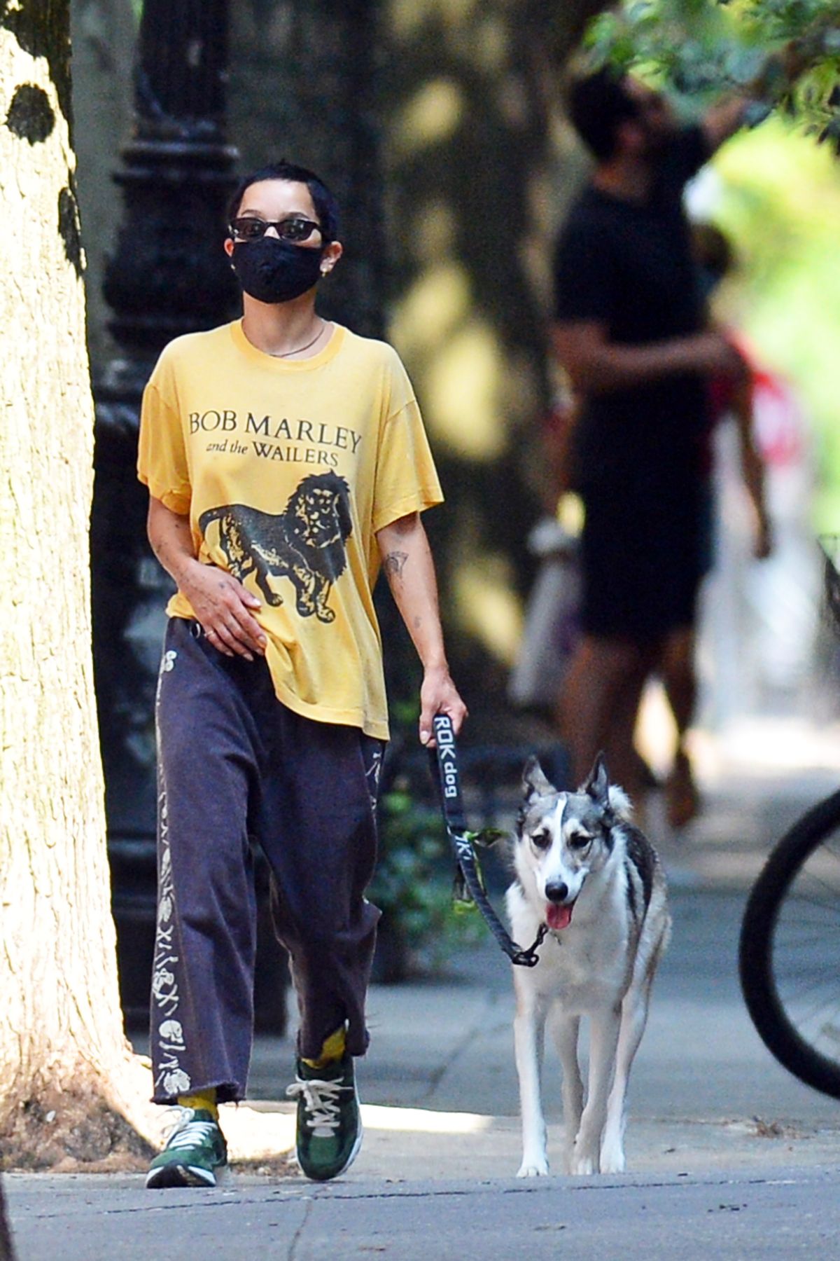 Zoe Kravitz Out With Her Dog New York